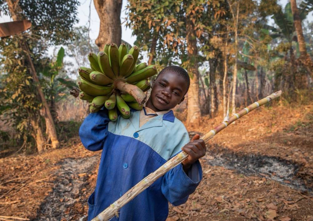 Analysing Child Labor in Uganda's Coffee Sector